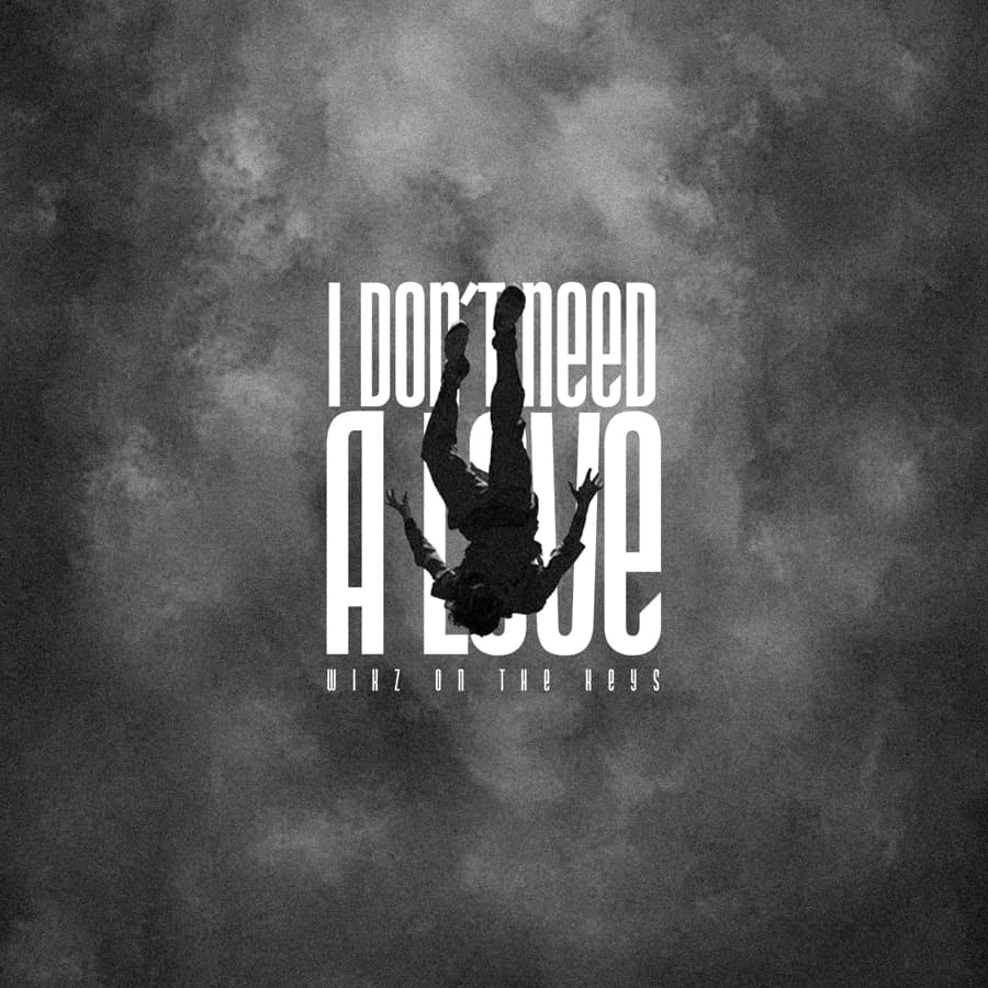 i Don't Need A Love cover art